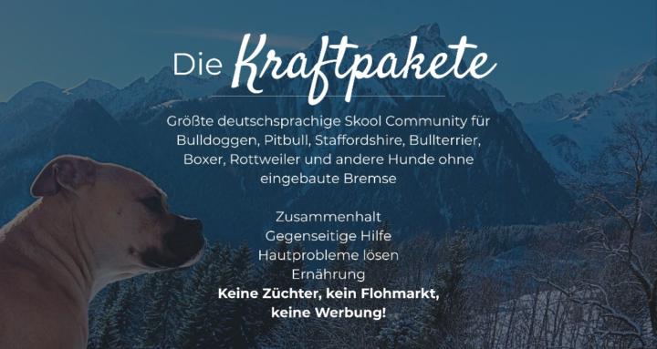 Kraftpakete! Bulldog & mehr