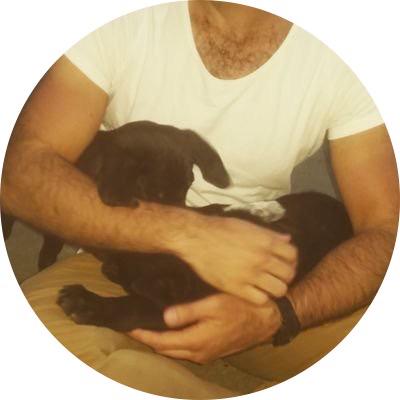 Javier Mariscal de Gante