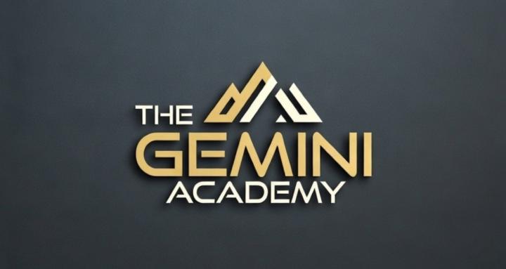 The Gemini Academy