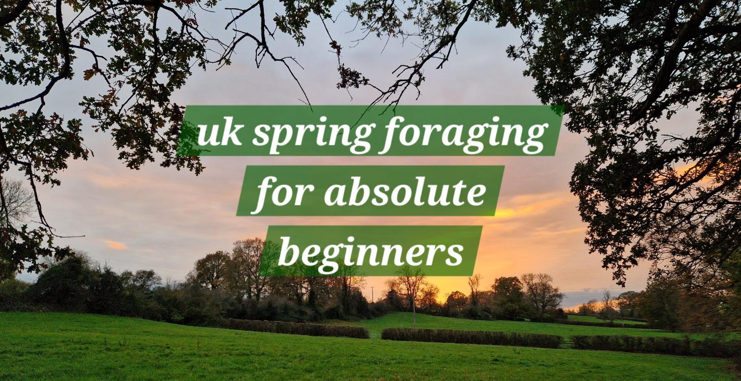 Uk foraging for absolute beginners- Spring