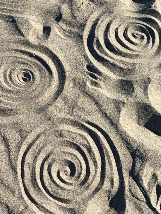 Miaheyyun Morningflower