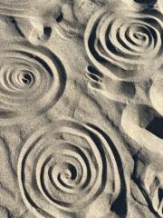 Miaheyyun Morningflower