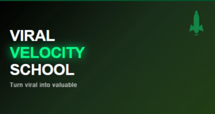 Viral Velocity School