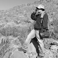 José Luis Amaya Hernández