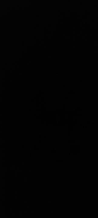 Strahinja Milenkovic