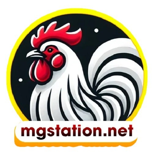 Đá gà Trực tiếp