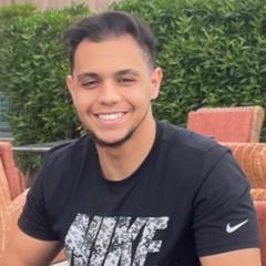 Walid Hasan