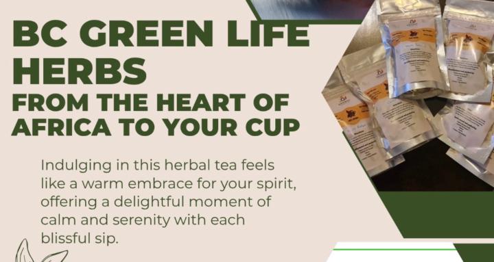 The Nature of Health &Wellness