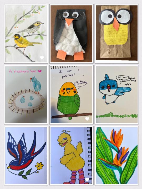 Bird results and word of *this* week is FREEDOM