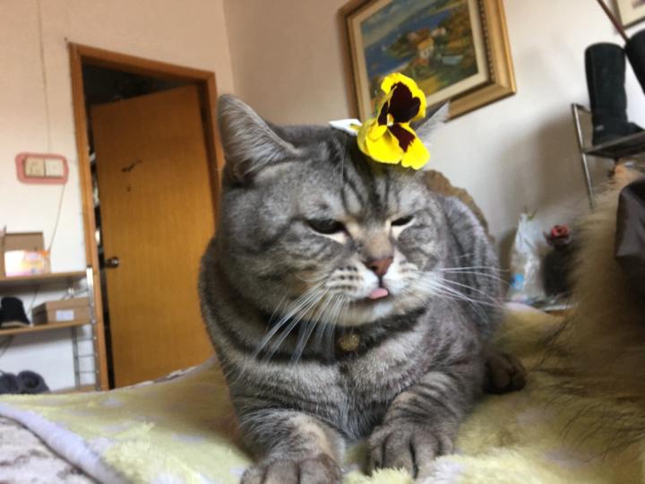蘇 蕾潔