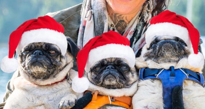 The Grumble Collective