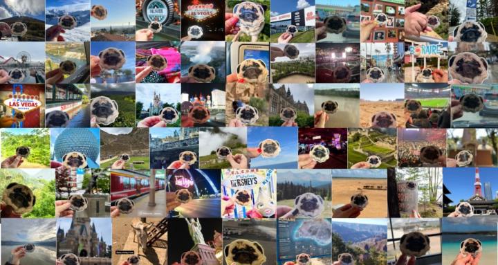 The Grumble Collective