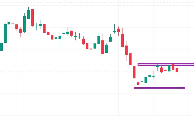 Mirtha Janeth Loayza Viera