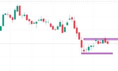 Mirtha Janeth Loayza Viera