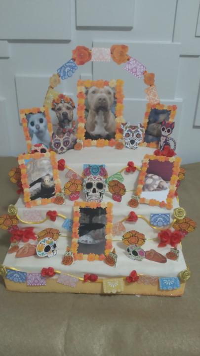 A curiosity about other traditions.