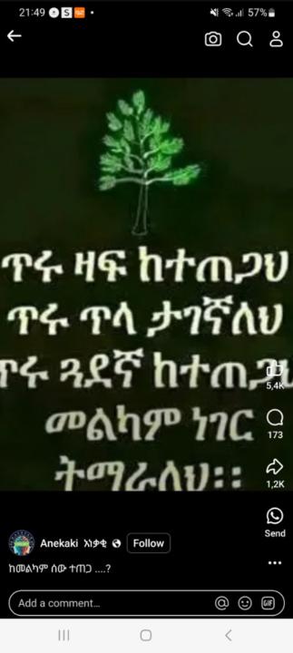 Nesim Ahmed
