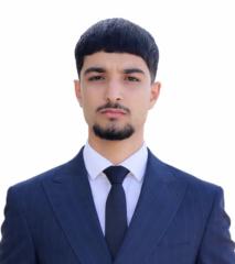 Tamer Baroudi