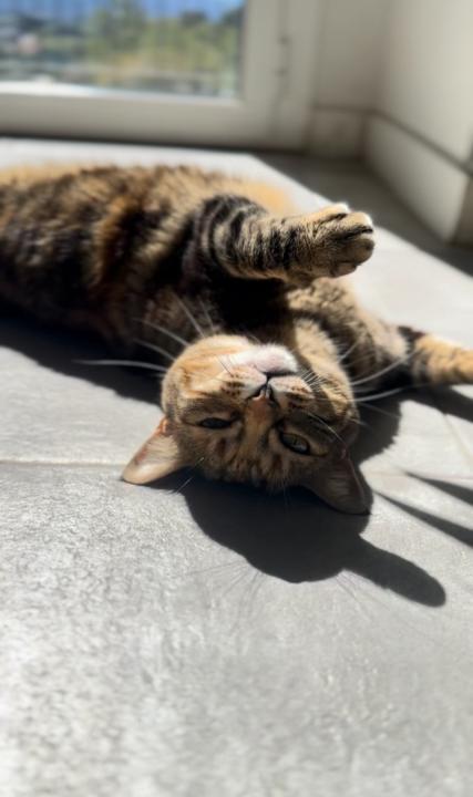 Sagrida Roncero Hernández