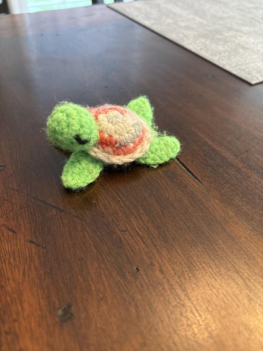 Adorable Turtle….