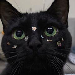 صابرين ابراهيم