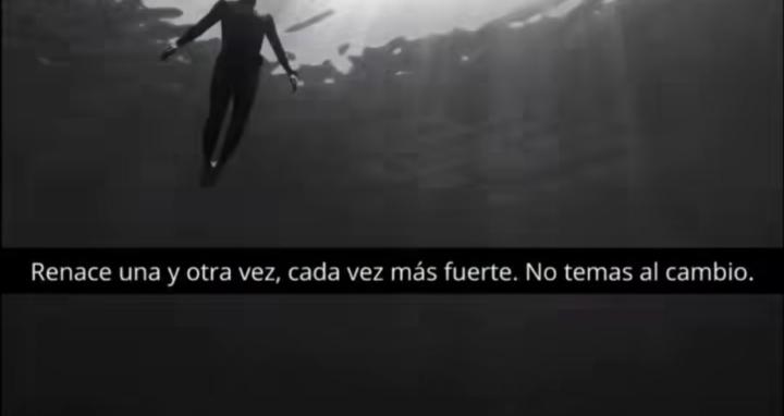 Ingresos online desde cero 