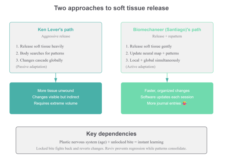 The pure "soft tissue inflation" vs "soft tissue + nervous system" approach