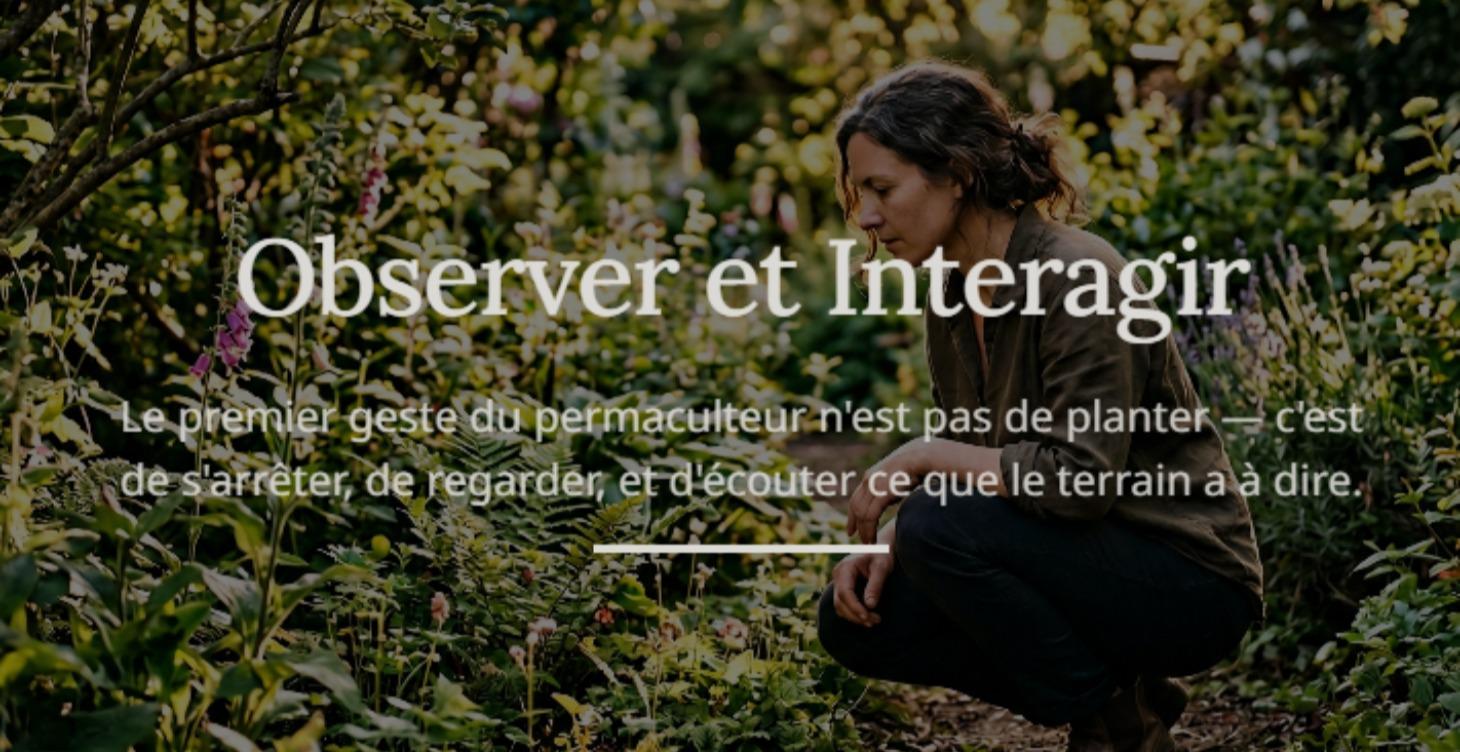 Leçcon 2- Observer et Interagir