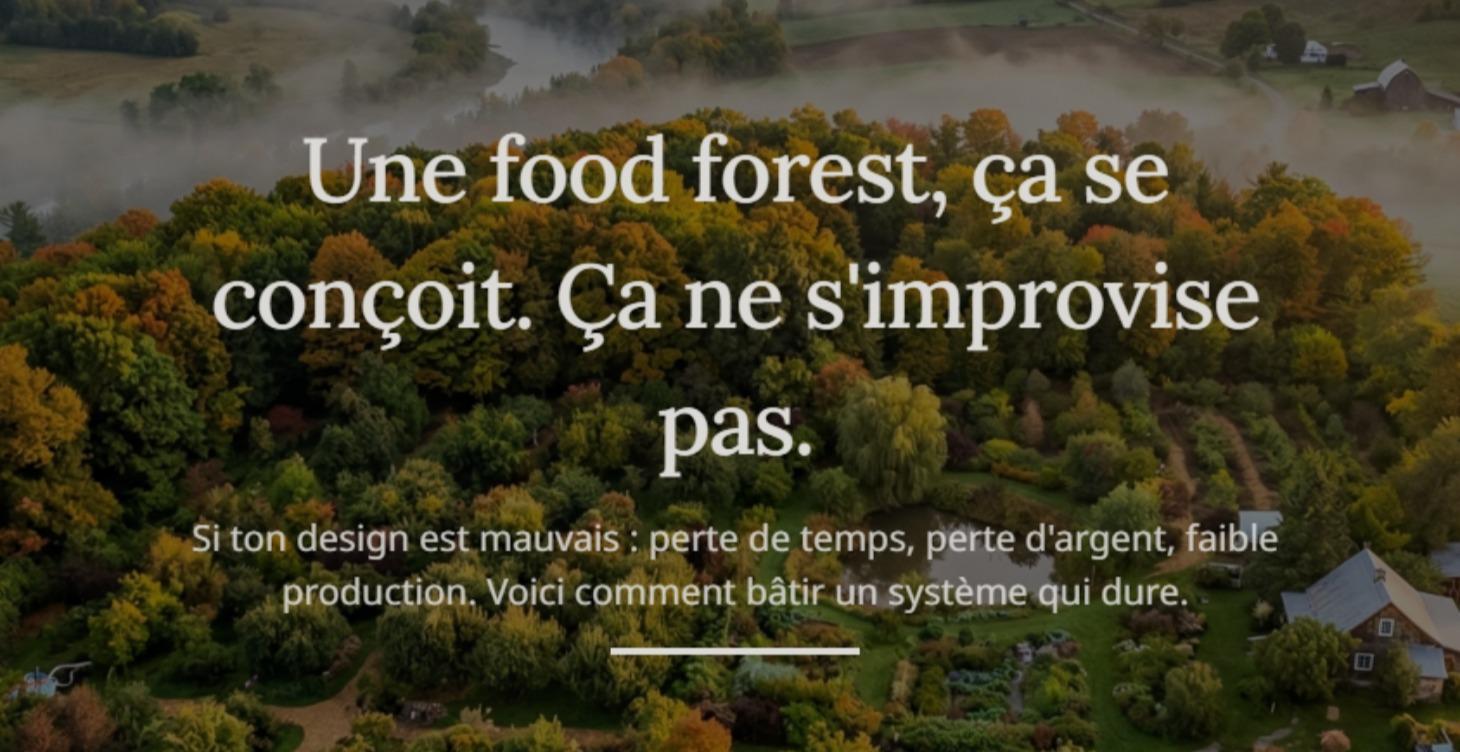 Leçon 3 — Design de Food Forest