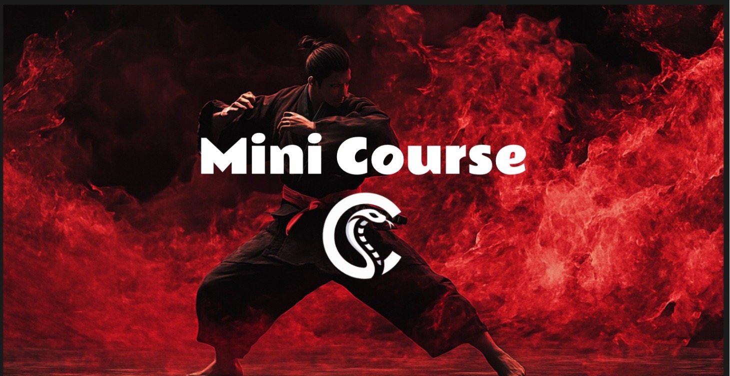 Mini Guide Masterclass