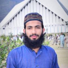 M Hasnain Raza