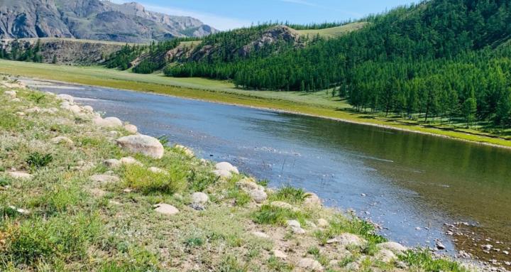 Магна Дижитал Академи