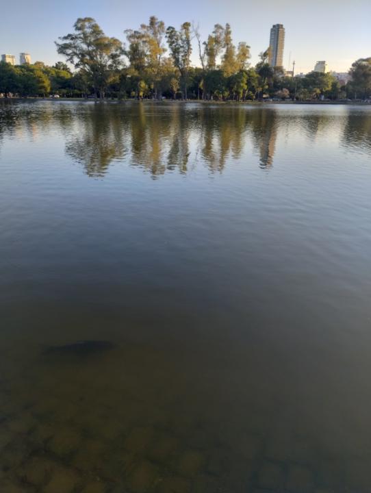 Life is beautiful, go out and contemplate what surrounds you