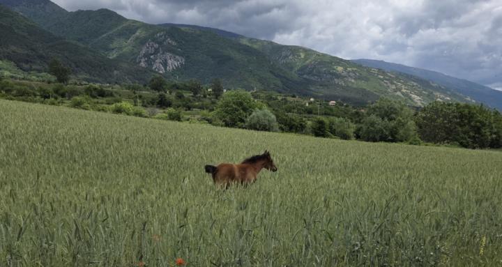 Truth-Finding Through Writing