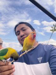 Israel Raciel Velasco ciprian