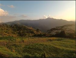 Martha milena Rodriguez