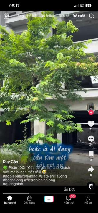 Quân Kiều