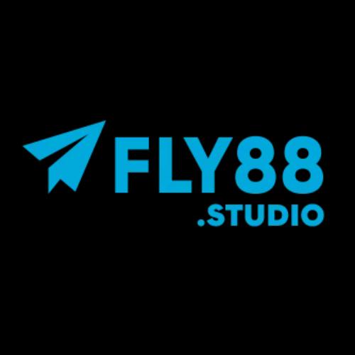 Fly Studio