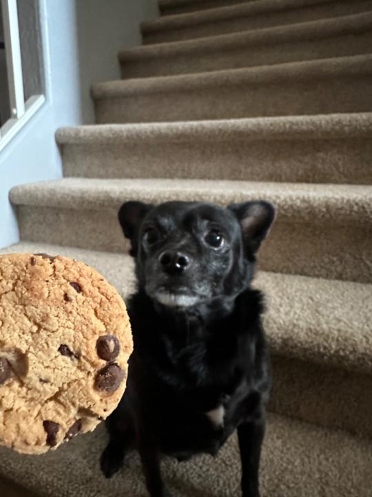 Nathan Barboza Garcia