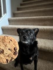 Nathan Barboza Garcia