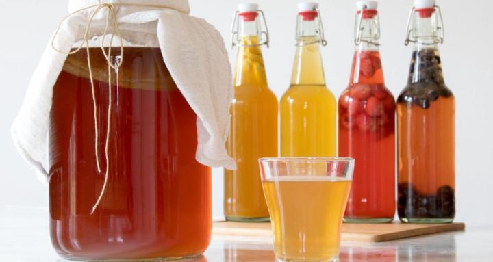 The Fermentation Project