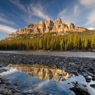 Paint Masteringdotca