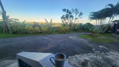 Angelica Castillo Fraticelli