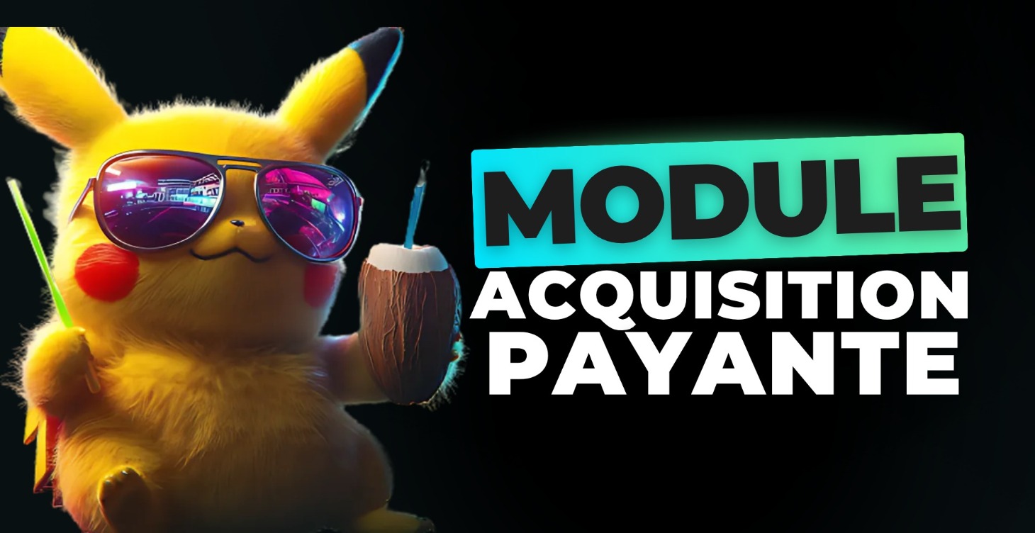 MODULE IV BIS - ACQUISITION PAYANTE