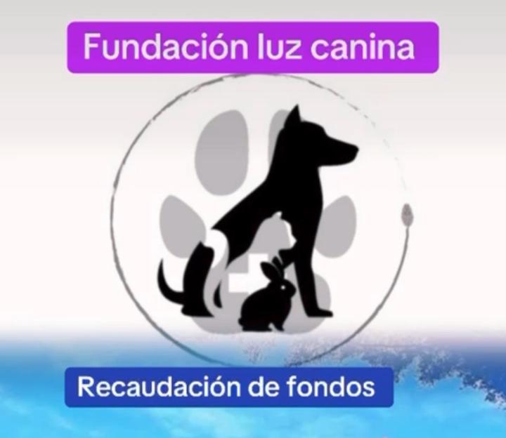 Luz Canina
