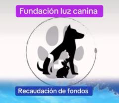 Luz Canina