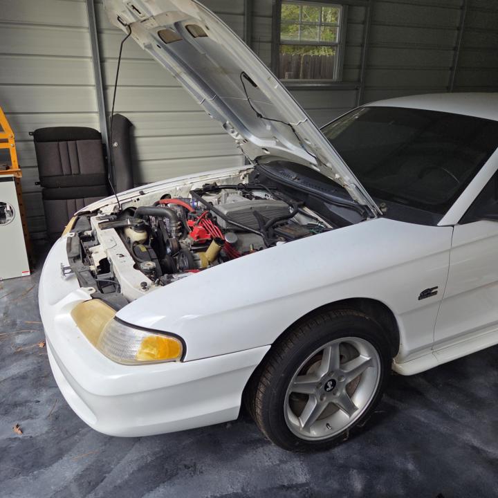 Just wanting to enjoy cars 