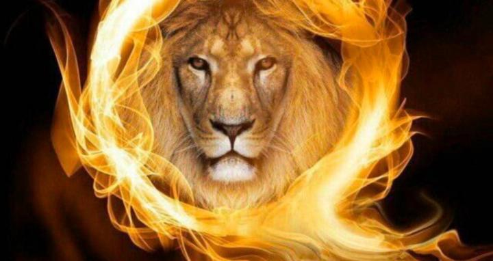 Lionheart