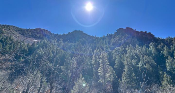 Wild Wisdom Coaching Community