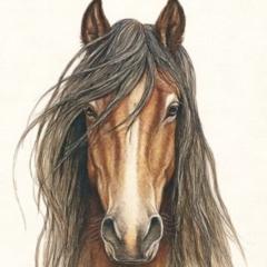 Henry Taylor a.k.a. Colt