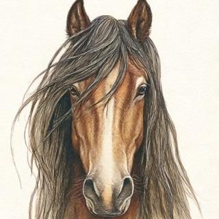 Henry Taylor a.k.a. Colt